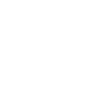 icon_2_globe_bold_white_512