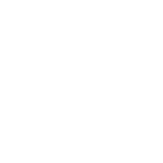 icon_3_laurel_globe_white_transparent