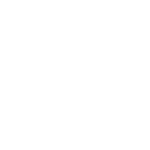 icon_4_globe_check_white_transparent