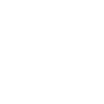 icon_5_network_globe_white_transparent