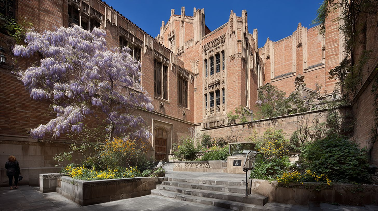 Kennedy University Accreditation Portfolio​